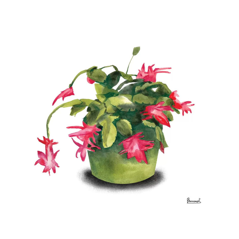 Cactus Flowers VIII 1 Piece Wrapped Canvas Wall Art, 30.48 cm H x 30.48 cm W