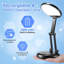 Isberga Adjustable Desk Lamp