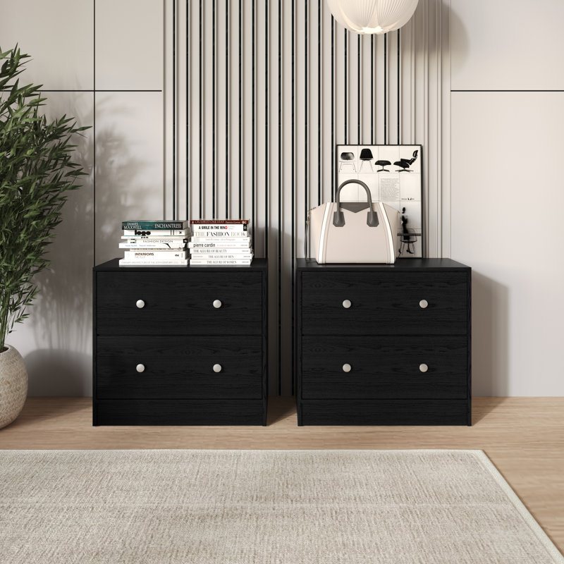 Trenton 2-Drawer Nightstand, Set Of 2, Modern Side Tables For Bedroom, Black