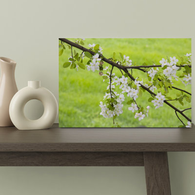 Close Up Of Blossom On Branch In Hyde Park, Chicago, Illinois, Usa Abstract Contemporary Landscape Nature Wall Art