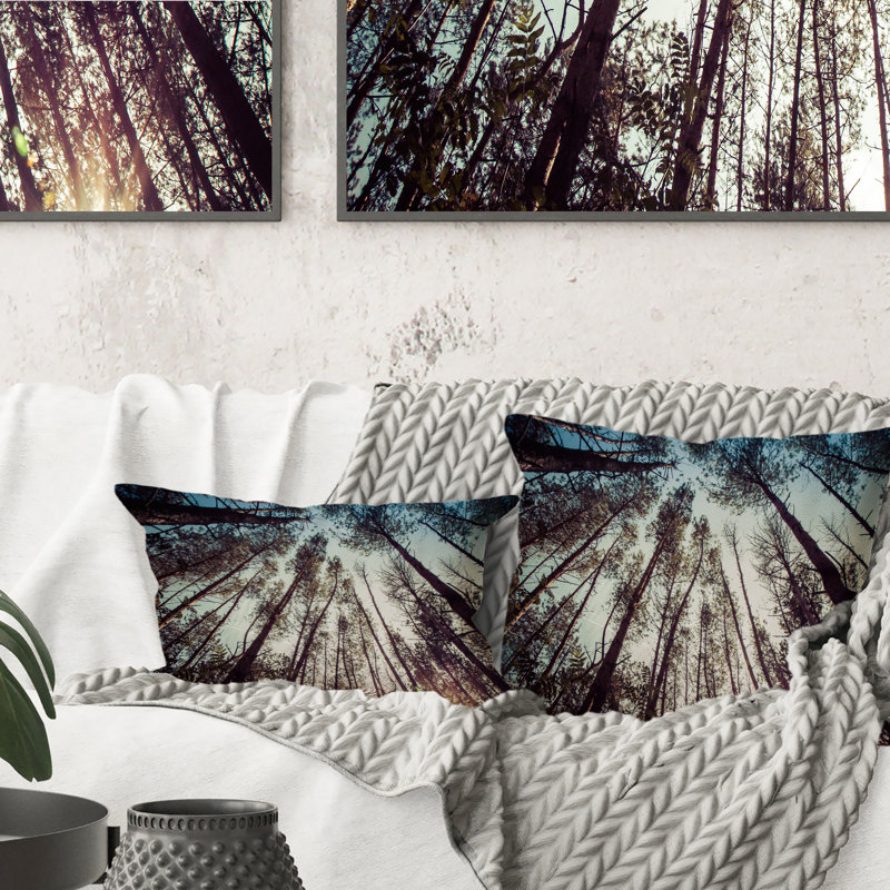 Coussin High Forest Trees And Blue Sky