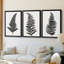«Forest Fern I» - Toile tendue avec châssis sur mesure - 3 pièces-1109492347-1109492346