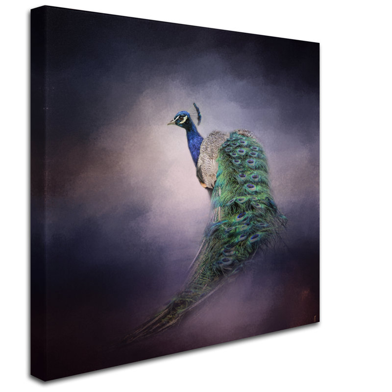 Vidur «Peacock 11», impression sur toile tendue, H 35 po x l 35 po