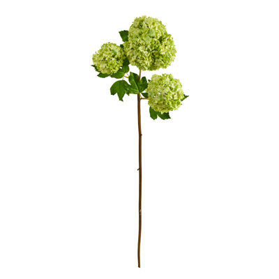 Hydrangea Arrangement