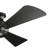 Sola 54'' Ceiling Fan with LED Lights
