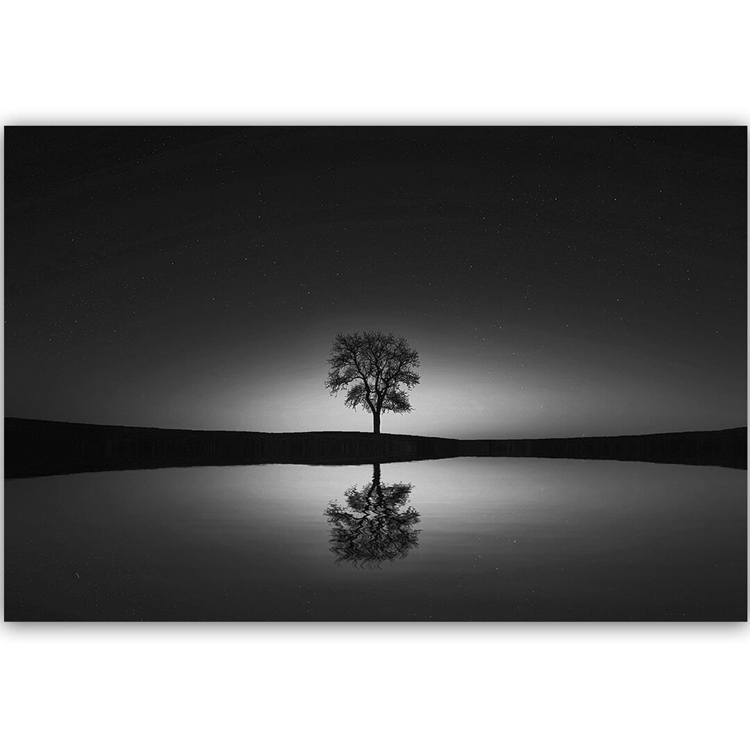 Leinwandbild Der Baum unter dem Sternenhimmel 2