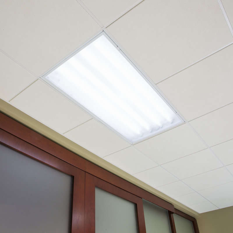 Genesis 2'x4' Light Panels, Ice