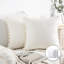 Coussin Silky Velvet Series Pom-poms-1144427444-1144427431-1196681514