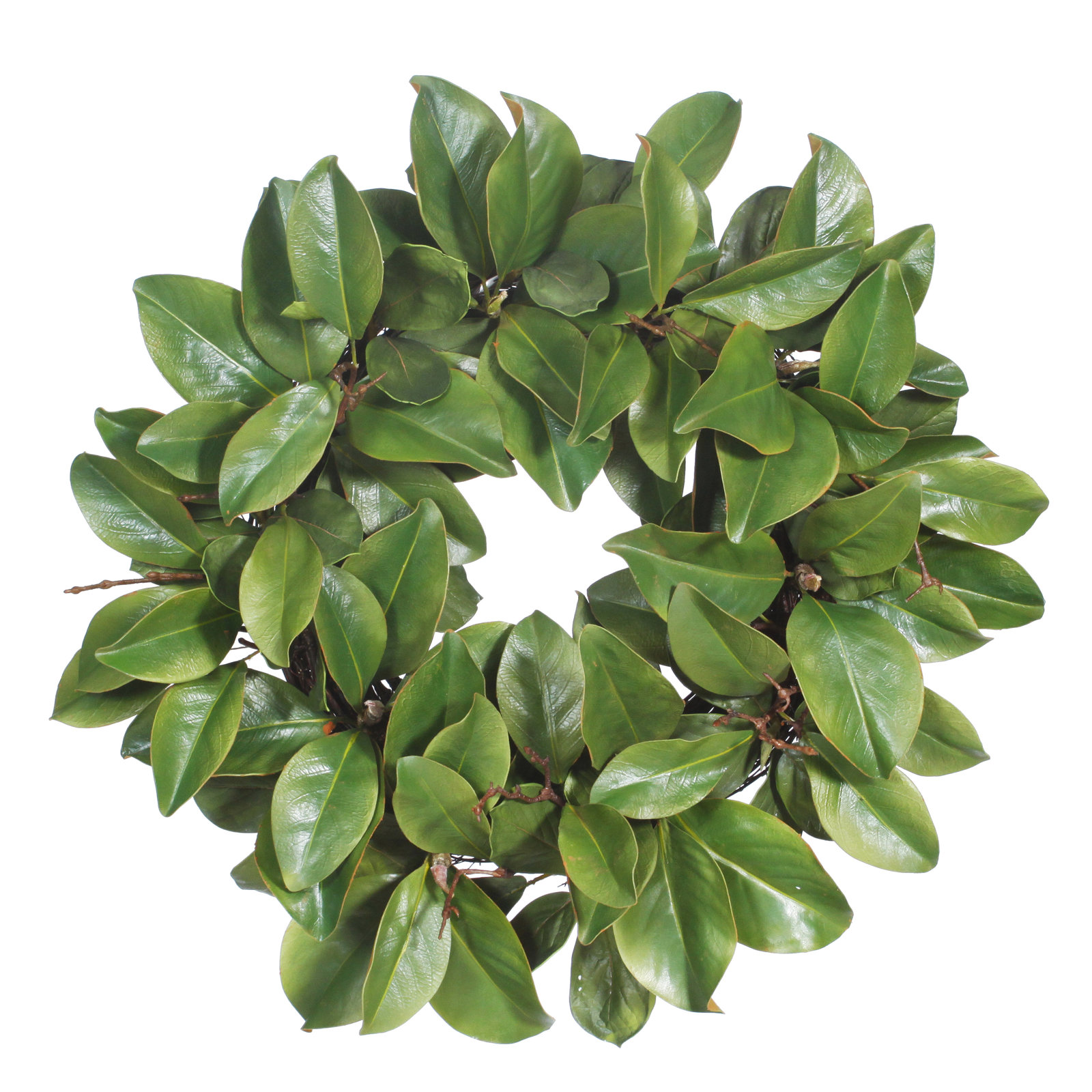 Billy-George Faux Magnolia Polyester Wreath, 24" H x 24" W x 7" D