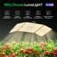 LumaLight 200W DEL à intensité variable de croissance à spectre complet