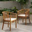 Chaises de salle à manger d'extérieur en bois avec coussins, ensemble de 2-1307834016