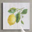 Toile tendue avec châssis Lemon Fresh II-Premium - prête à être accrochée-1930175238