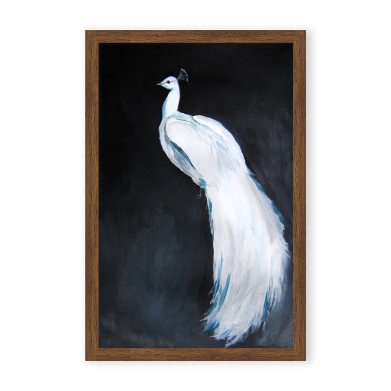 Nature Inspired Alabaster Majesty: White Peacock Against The Night, Framed Matted Print, 30" H x 24" W x 1.125" D, White