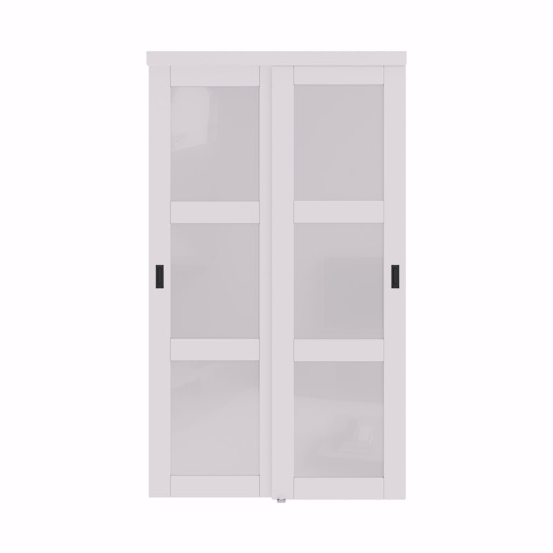 48 in. x 80 in. White Tempered Frosted Glass Sliding Closet Door