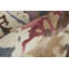 Dafney Hand Tufted Floral Area Rug-990083282