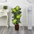 Charlack Artificial Foliage Plant in Planter