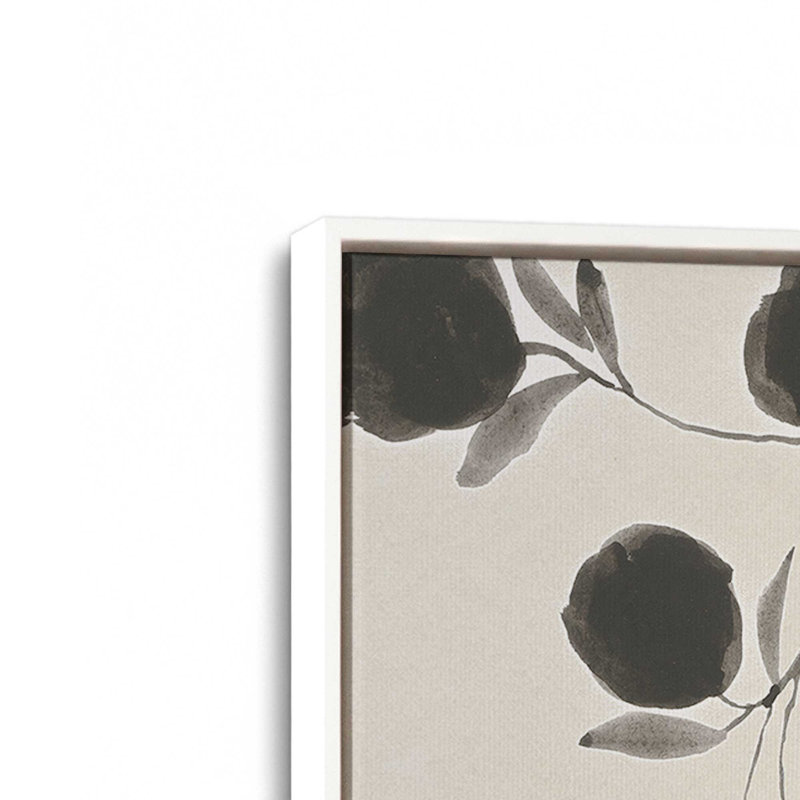«Black Ink Botanicals», ensemble de 2, Cadre flottant blanc opaque, H 19 po x l 26 po