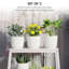 Planter-329839673-329839675