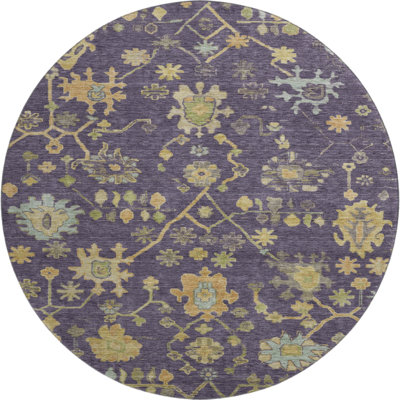Premium Machine Washable Alaina AMF1930 Global Rug