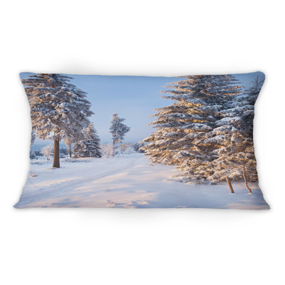 Throw Pillow