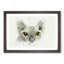 Sphynx Cat with Amber Eyes in Abstract - Framed Print-55726585-55726587