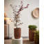 Pot Planter-943960875