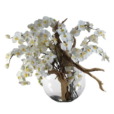 Driftwood Orchid Arrangement in Vase