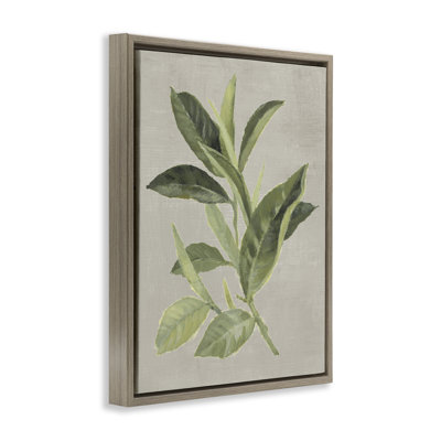 Cadre flottant feuille de thé vert, design par Lanie Loreth