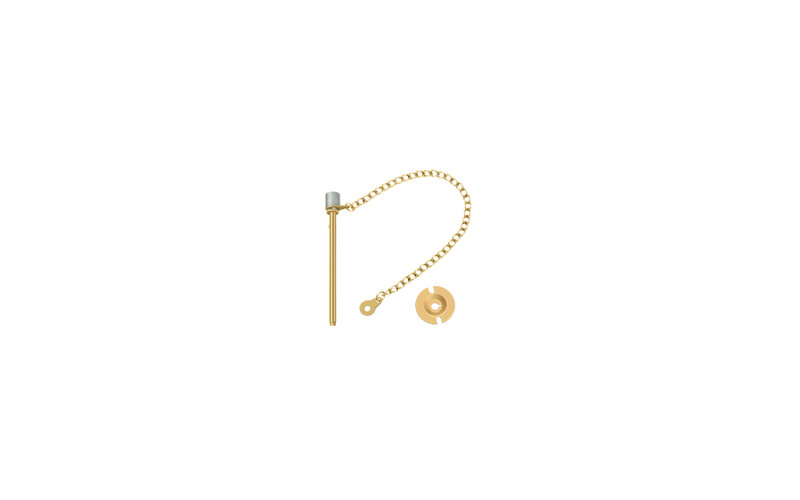 Door Pin, PVD Polished Brass
