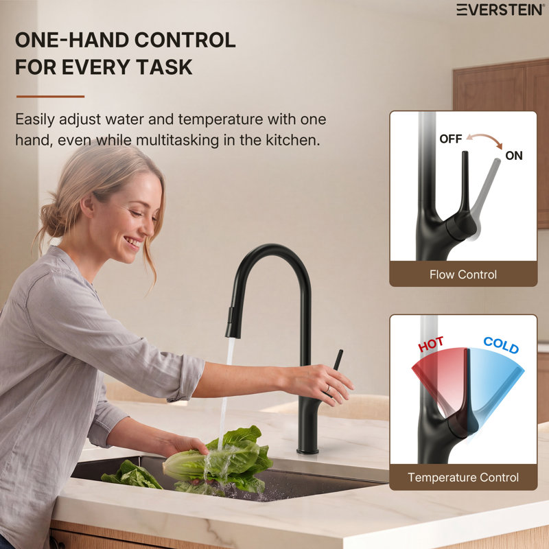 Dual-Function Single-Handle Pull-Down Kitchen Faucet, Matte Black
