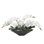 Orchid Arrangement in Pot