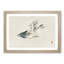 Herring Gull by Kono Baireir - Picture Frame Painting Print-55763063-55763066