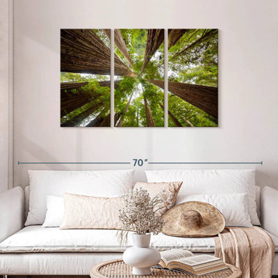 Alvord Dizzying Sequoia Trees