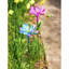 Piquet de jardin 39 po Beaslie-831569189