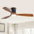 Black with Brown Blade.  is out of stock