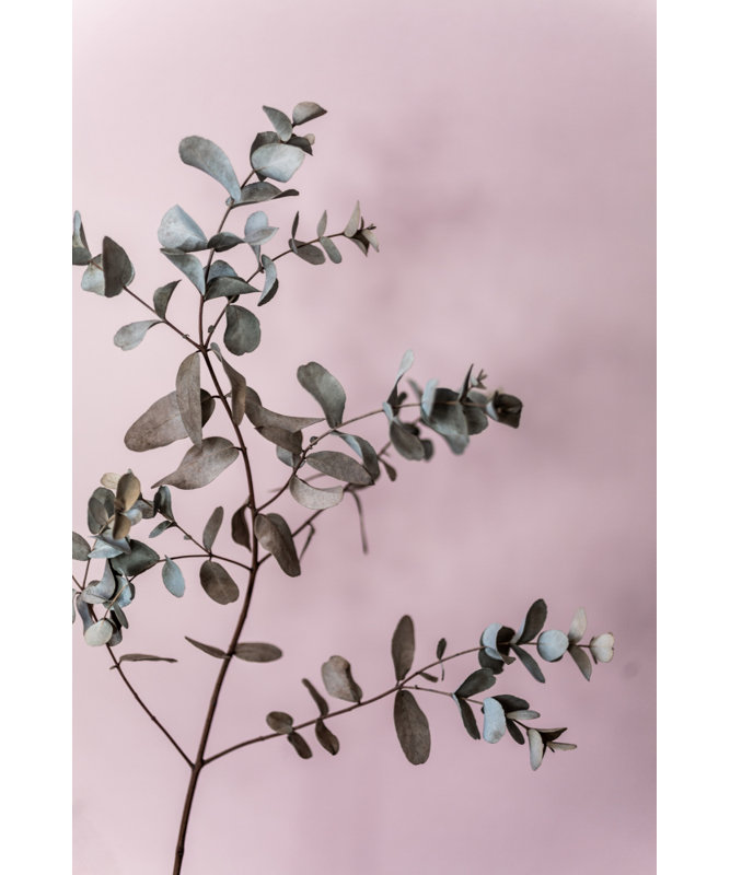 Wrapped Canvas Print, 76.2 cm H x 50.8 cm W