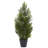 Faux Foliage Tree in Pot-1743630050