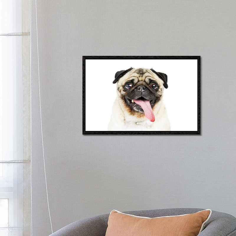 Closeup Pug Dog Tongue Hanging Out by Susan Richey - Gallery-Wrapped Canvas Giclée on Canvas, 66.04 cm H x 45.72 cm W