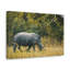 Wall Art on Canvas