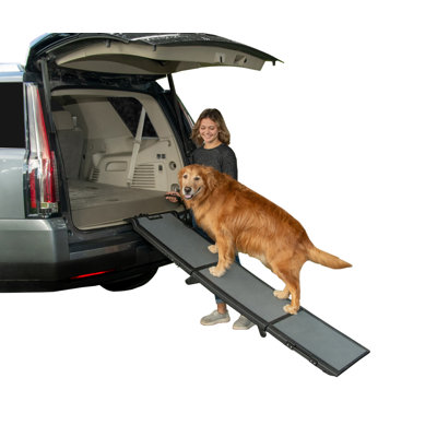 Rampe pour animal portable pliable en trois 70 po