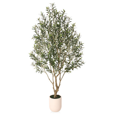 Adcock 96" Olive Tree in Decorative Vase