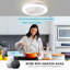 Ventilateur de plafond standard à DEL 20,5 po avec télécommande et ensemble d'éclairage inclus Sandee-2050267153