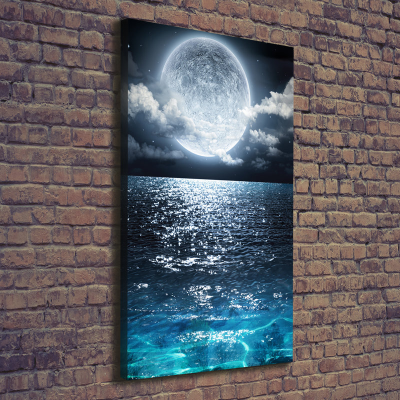 Full Moon - Wrapped Canvas Print