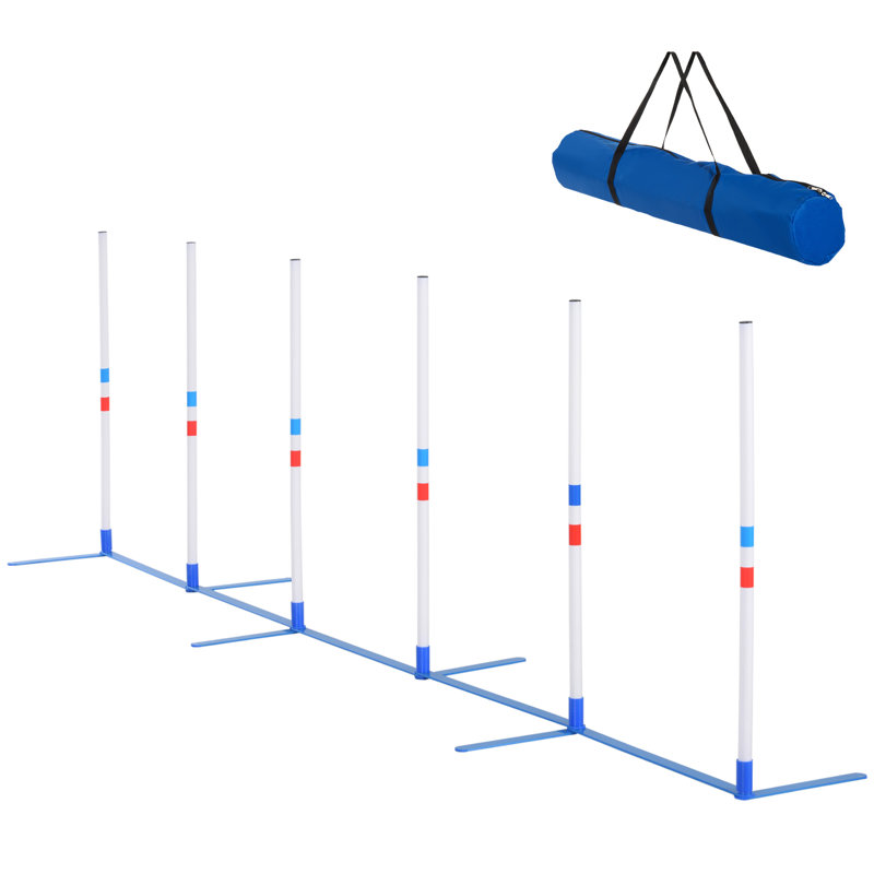 Larry Dog Agility Set