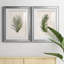 Palm Botanical I - ensemble de 2 impressions-1280204969-1280204983-1211584036