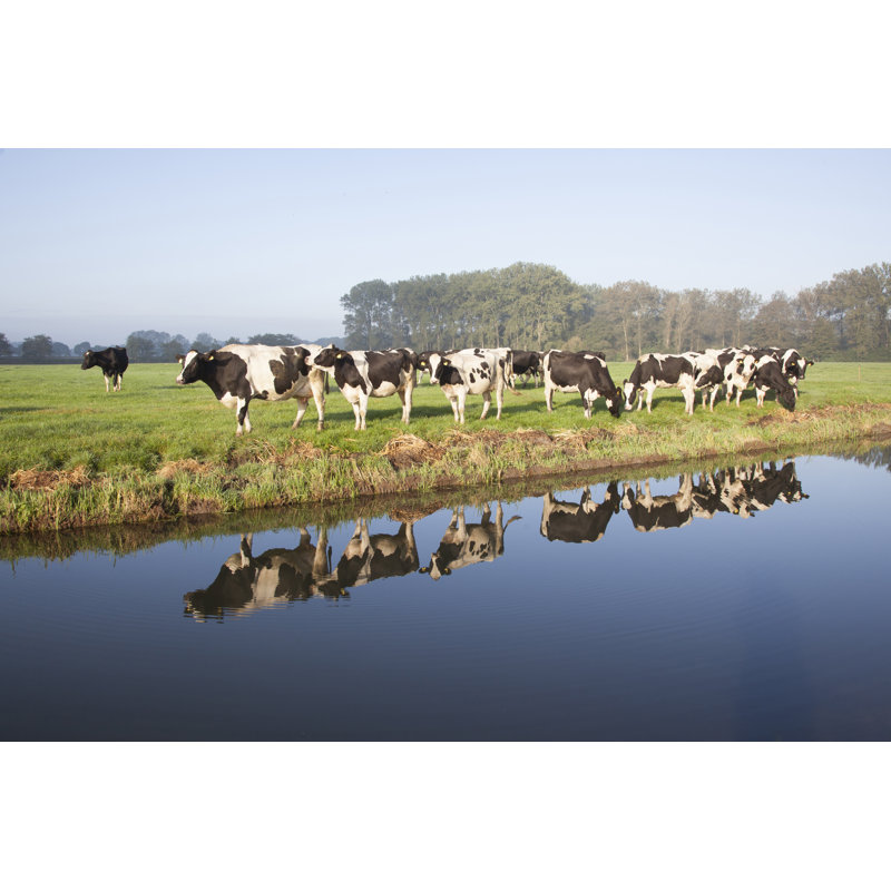Cows grazing on meadow 1 Piece Wrapped Canvas Wall Art, 20cm H x 30cm W