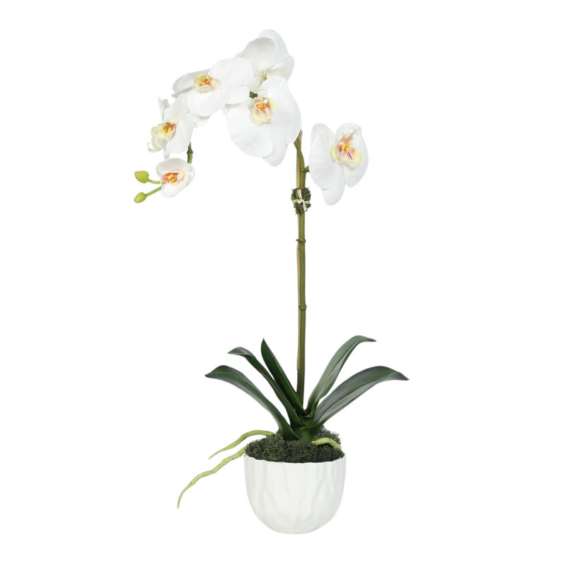 Faux orchidée dans un vase blanc, Blanc, Blanc
