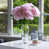 Rose sélectionné