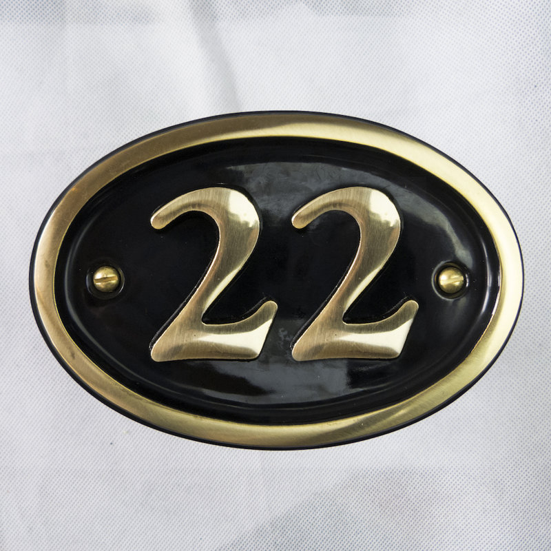 Tyrinia 10cm H Reflective Aluminum House Number, 22