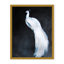 Nature Inspired Alabaster Majesty: White Peacock Against The Night-1691510528-1691510531-1691510551